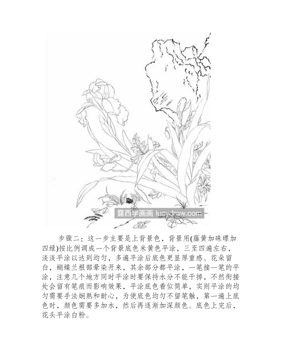 虞美人蝴蝶兰怎么画_两种花卉的详细工笔画教程是什么_工笔画教程_第2页