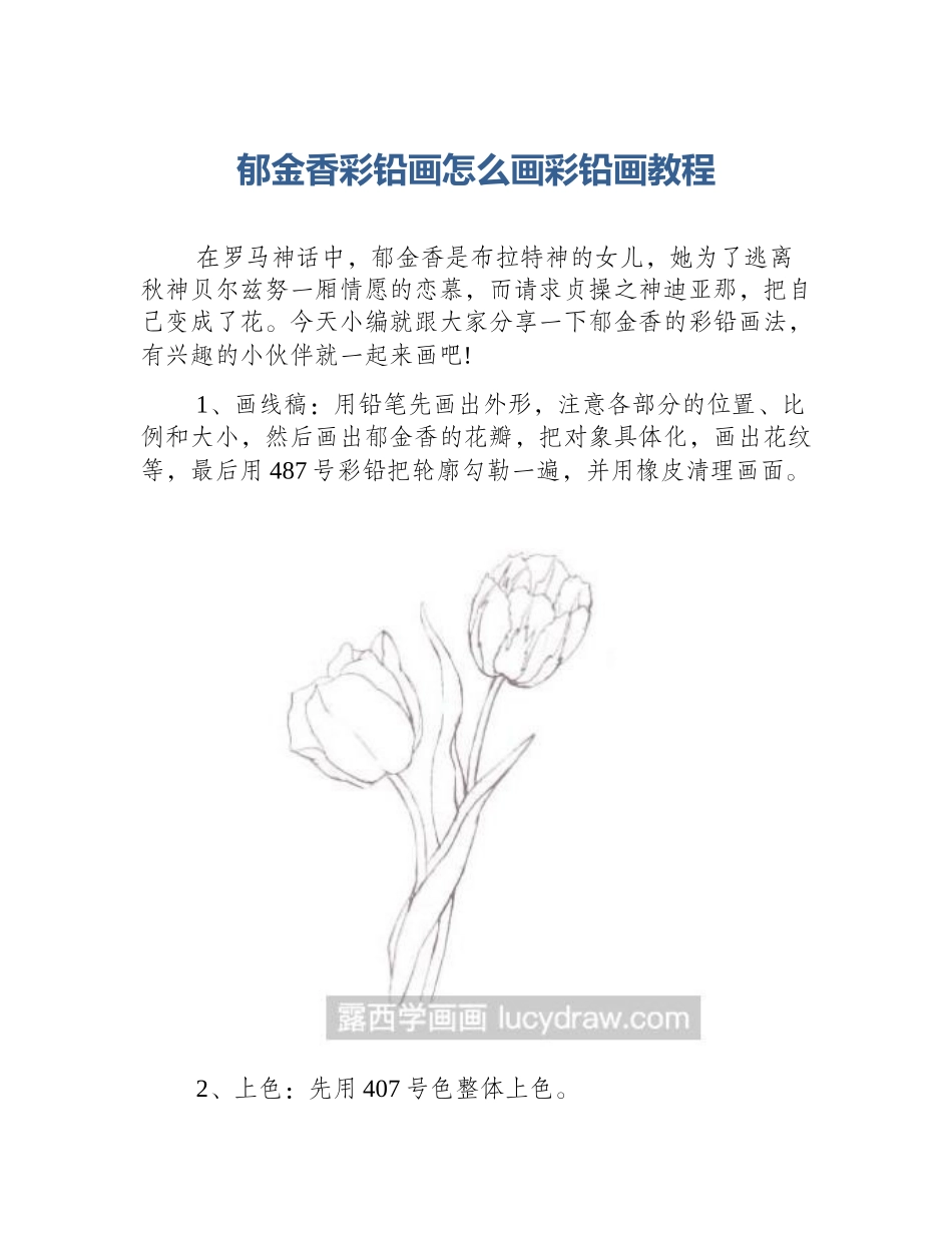 郁金香彩铅画怎么画彩铅画教程_第1页