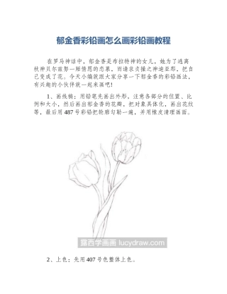郁金香彩铅画怎么画彩铅画教程