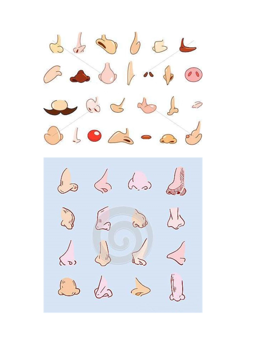 怎样画漫画鼻子_漫画教程1_第2页