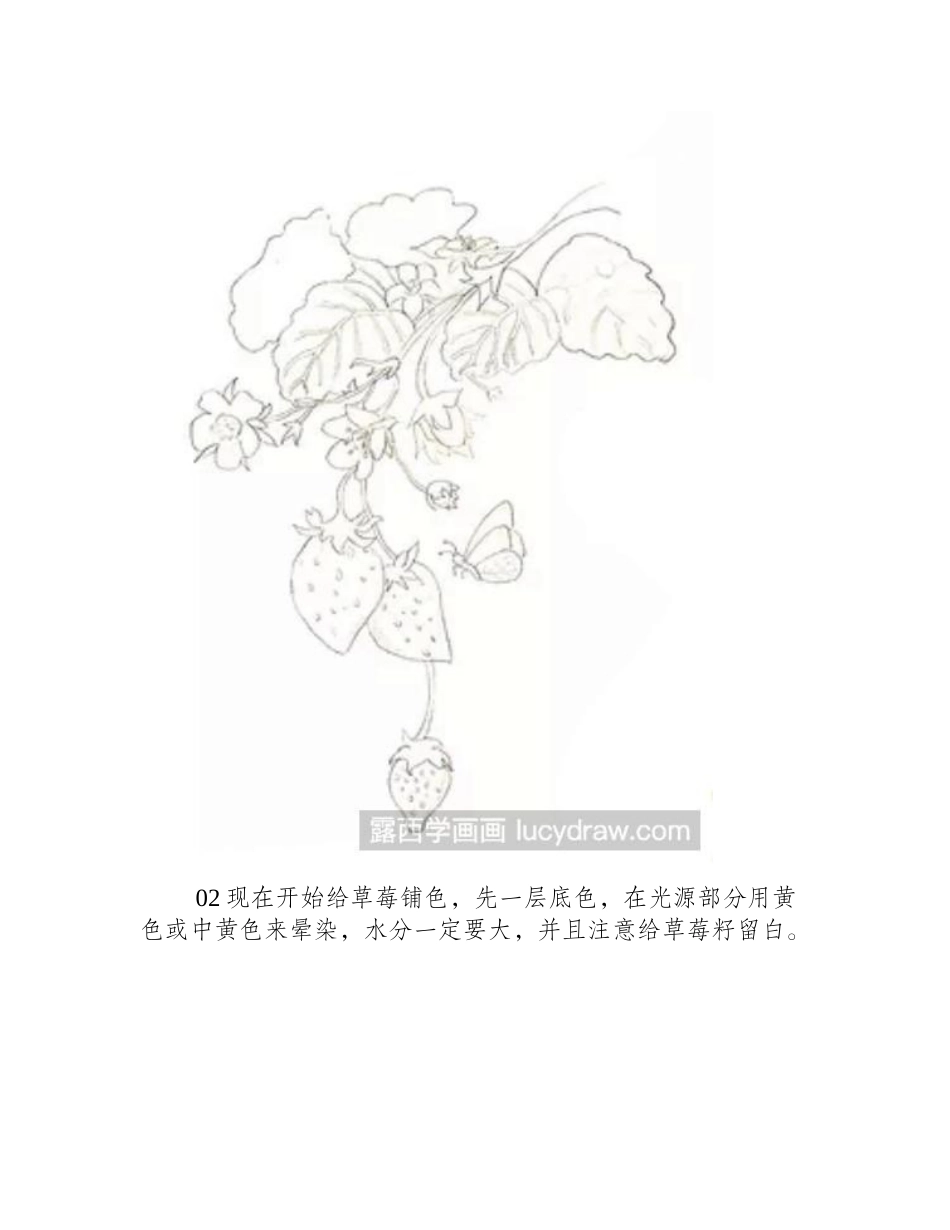 一串草莓水彩教程水彩画教程_第2页