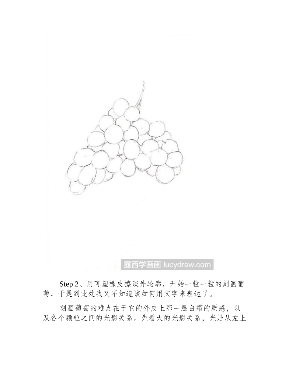 圆珠笔画葡萄教程钢笔画教程_第2页