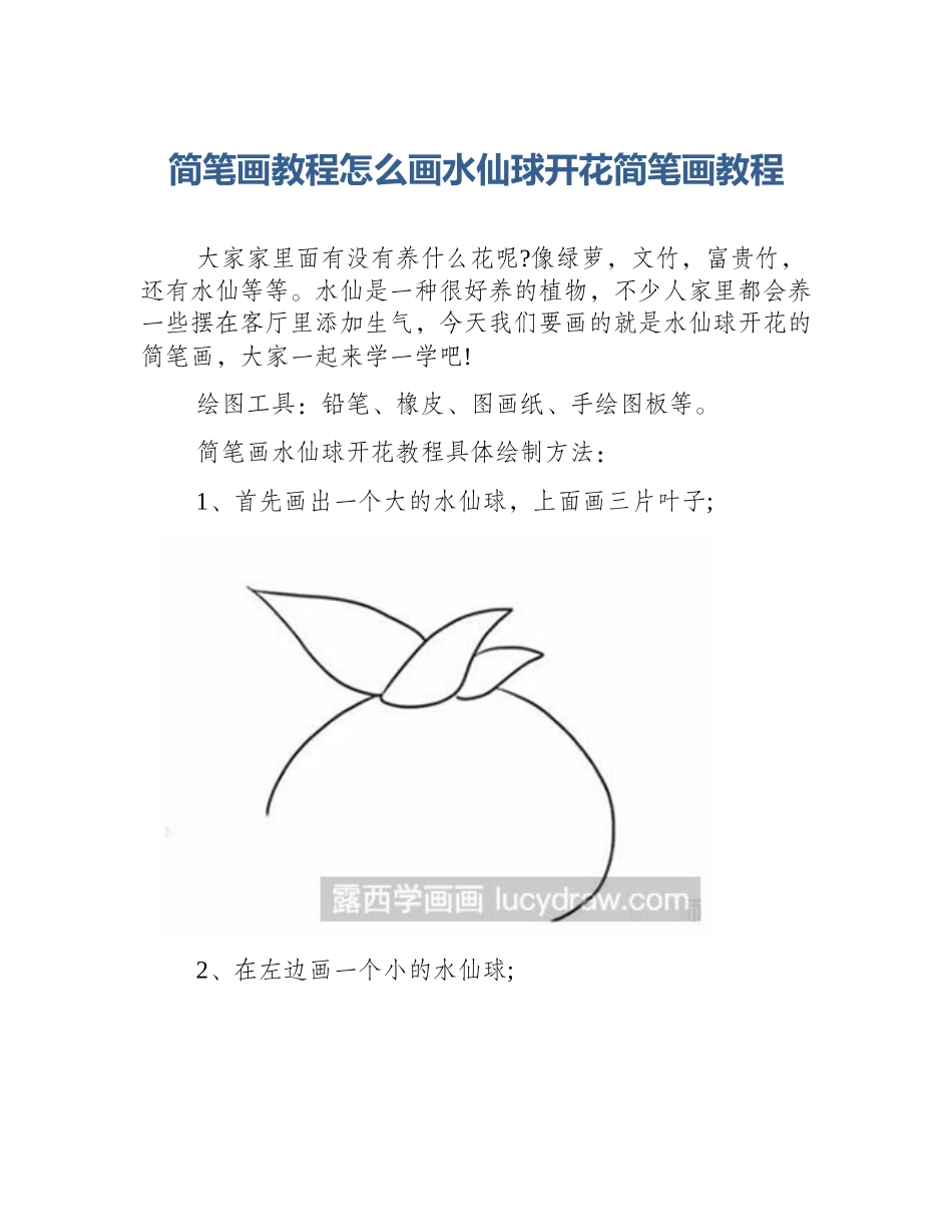 简笔画教程怎么画水仙球开花简笔画教程_第1页