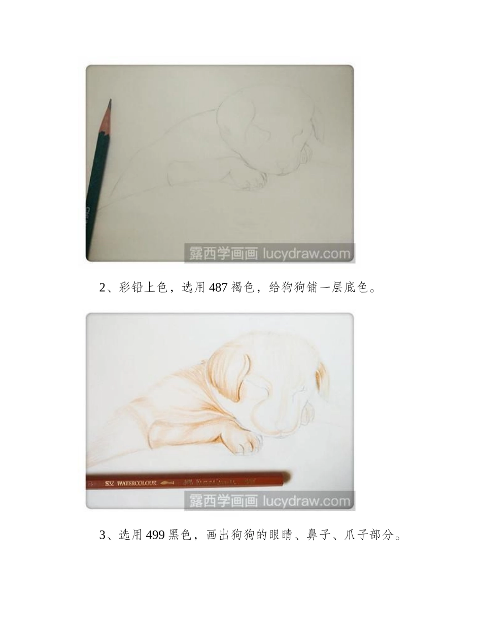 教你画一只趴着的彩铅小狗彩铅画教程1_第2页