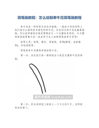 简笔画教程：怎么绘制牵牛花简笔画教程