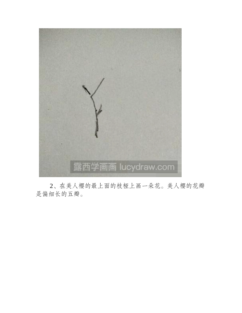 教你画美人樱彩铅画教程_第2页