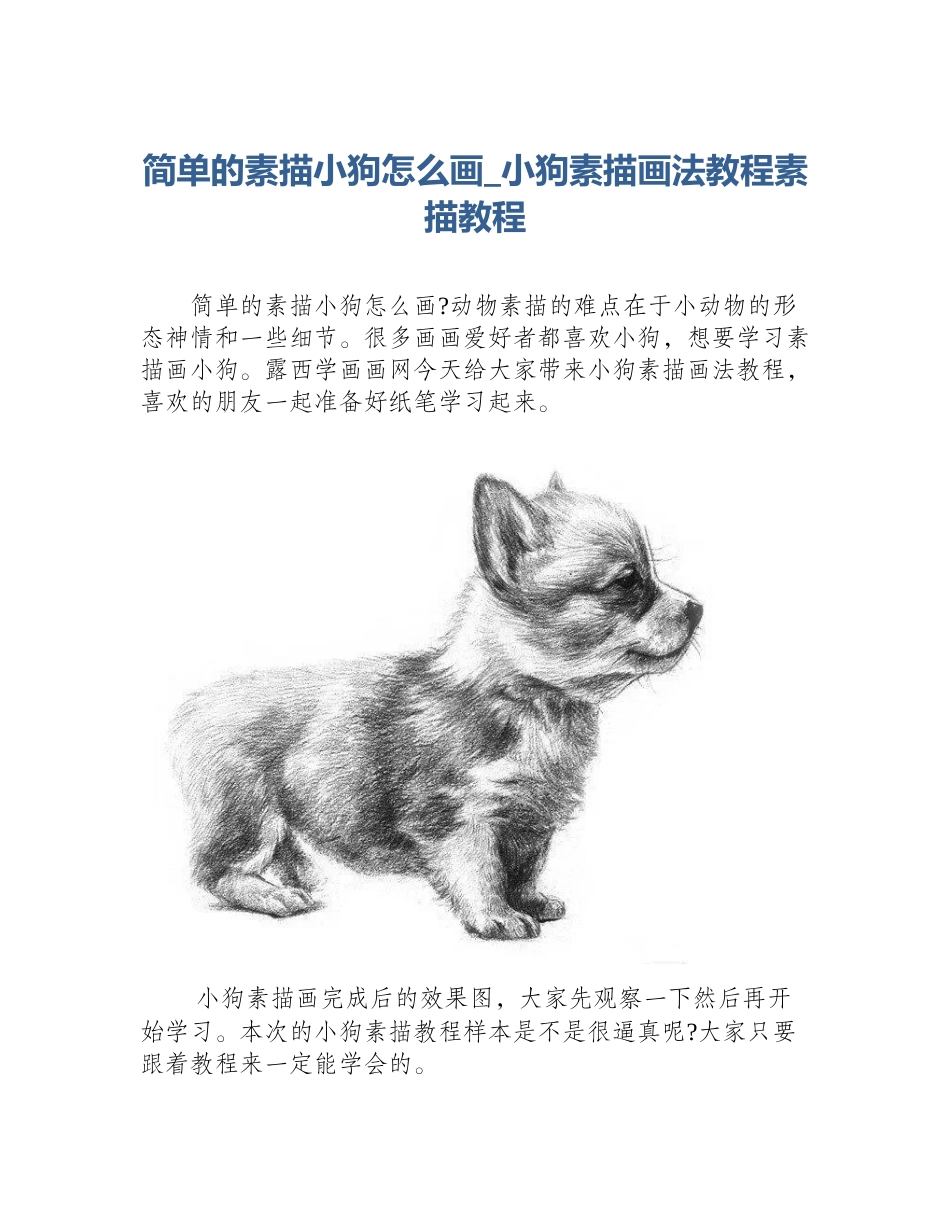 简单的素描小狗怎么画_小狗素描画法教程素描教程_第1页