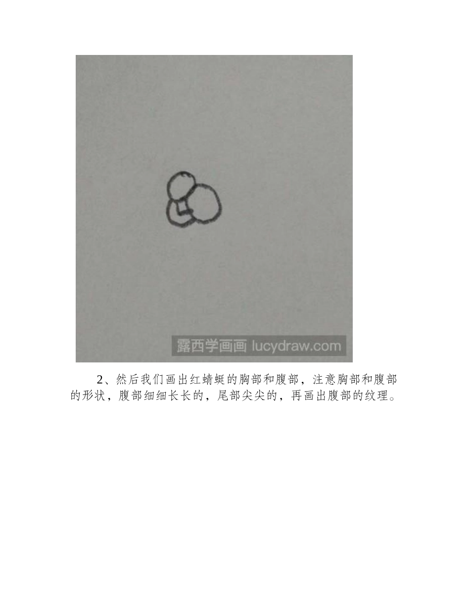 简笔画教程：教你画红蜻蜓简笔画教程_第2页