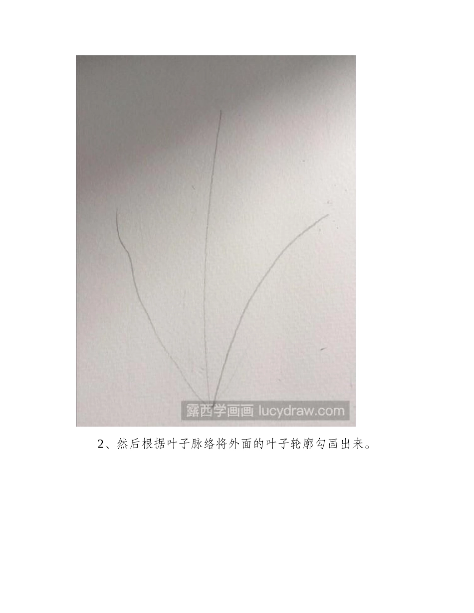 教你画菊花叶子简笔画教程_第2页