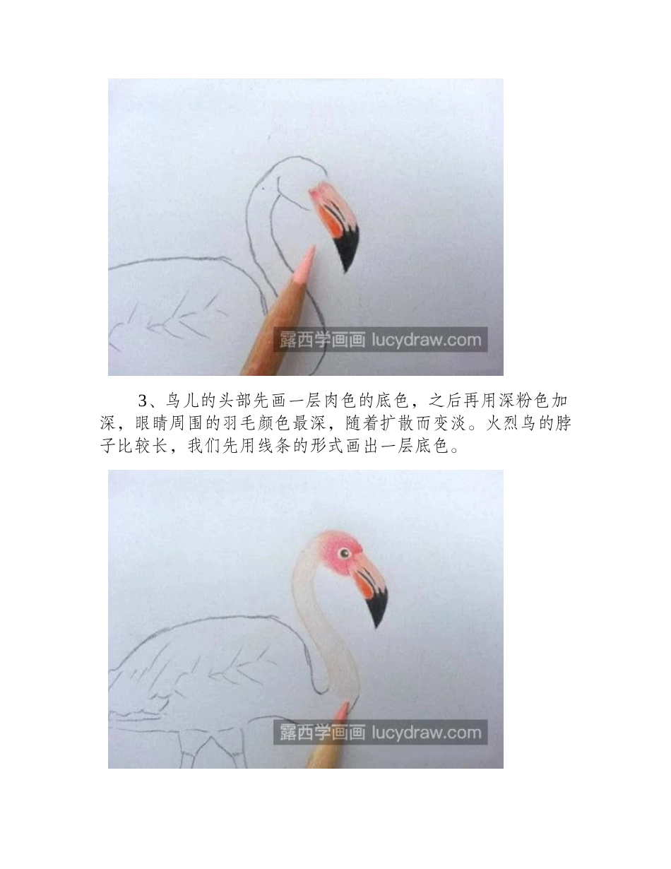 火烈鸟怎么画_彩铅绘画过程是什么_彩铅画教程_第2页