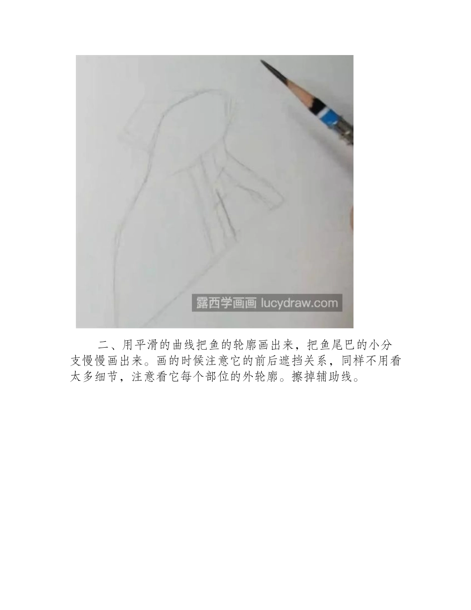 黑色小金鱼怎么画_有哪些绘画步骤_素描教程_第2页