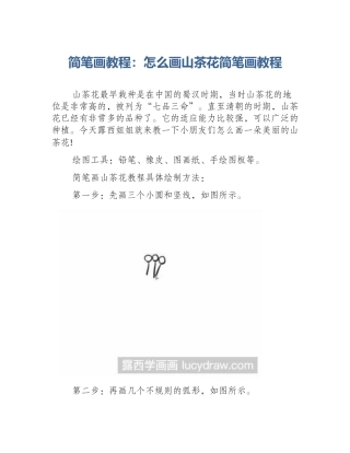 简笔画教程：怎么画山茶花简笔画教程