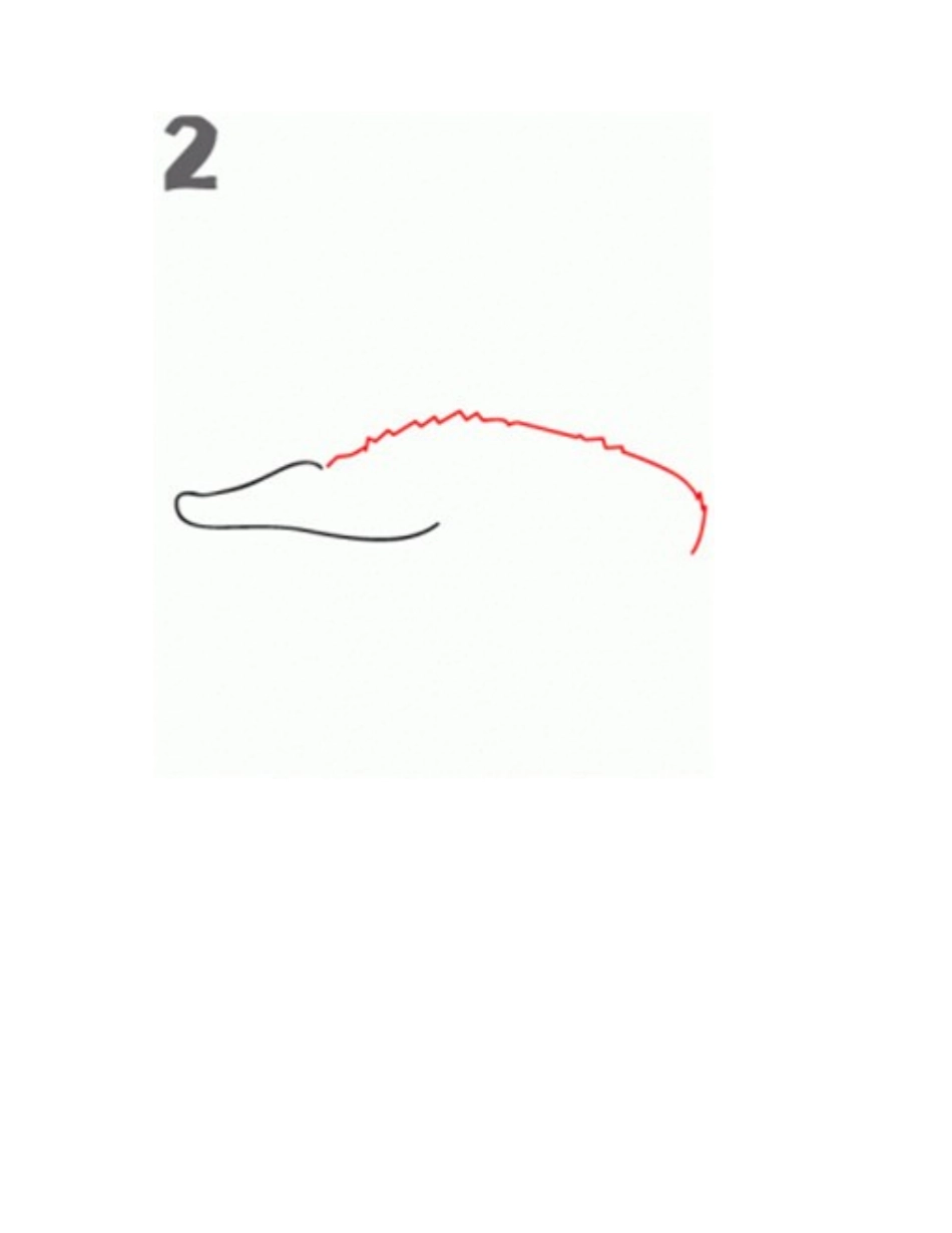 简笔画鳄鱼的画法步骤简笔画教程_第2页
