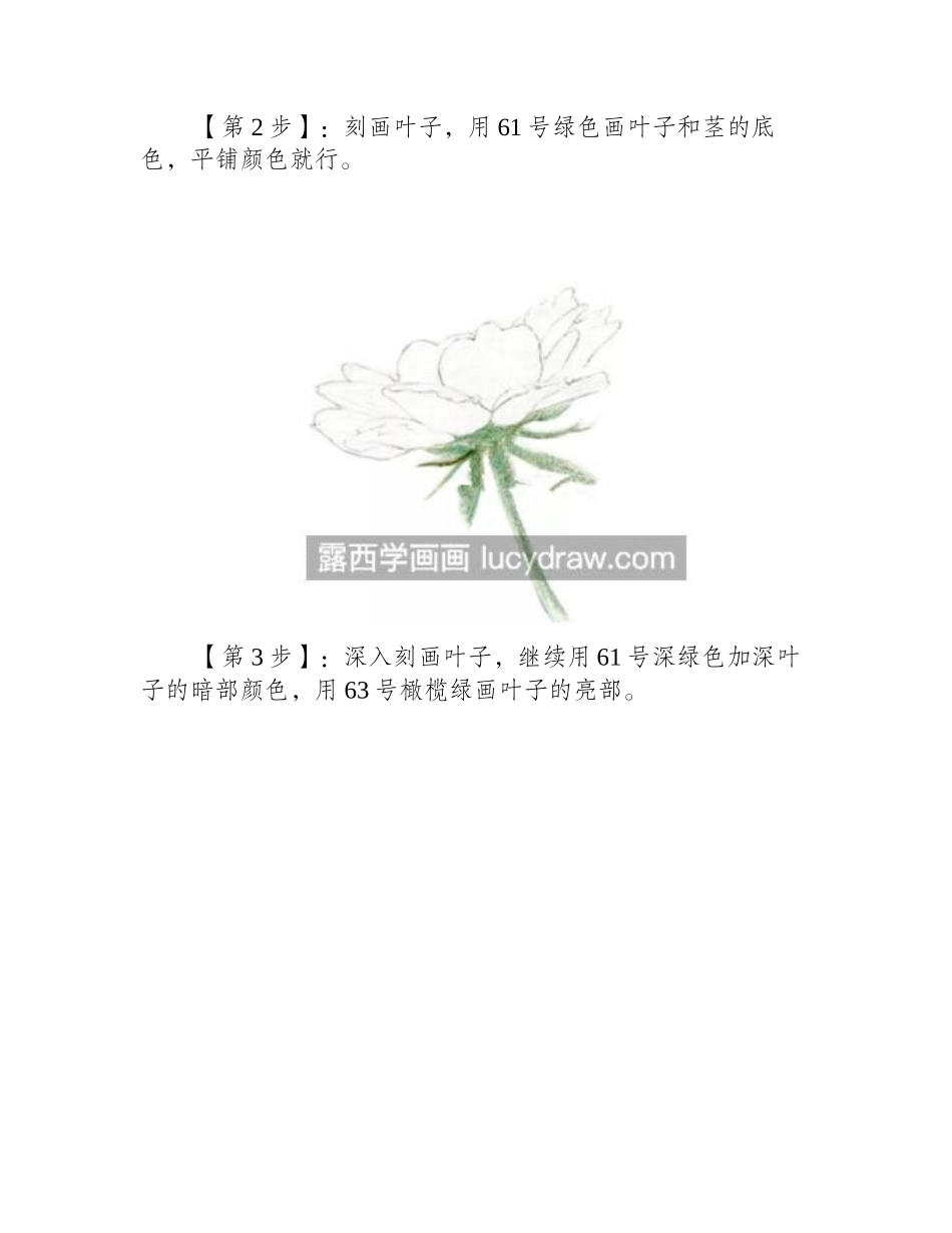 花儿怎么画_彩铅花卉如何上色_彩铅画教程_第2页