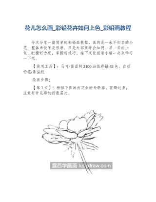 花儿怎么画_彩铅花卉如何上色_彩铅画教程