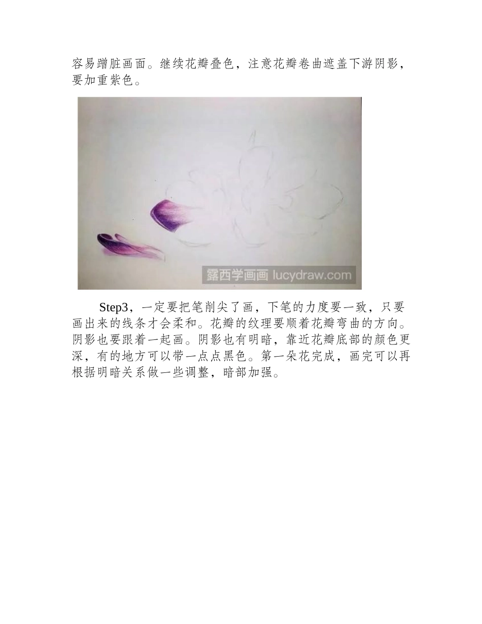 红番花彩铅画教程彩铅画教程_第2页