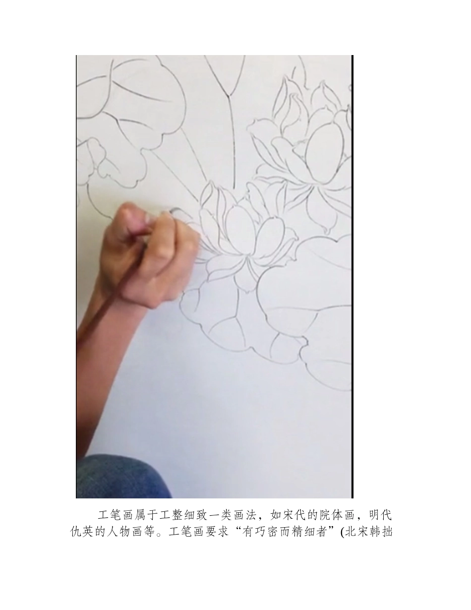 教你画工笔荷花白描线稿工笔画教程2_第2页