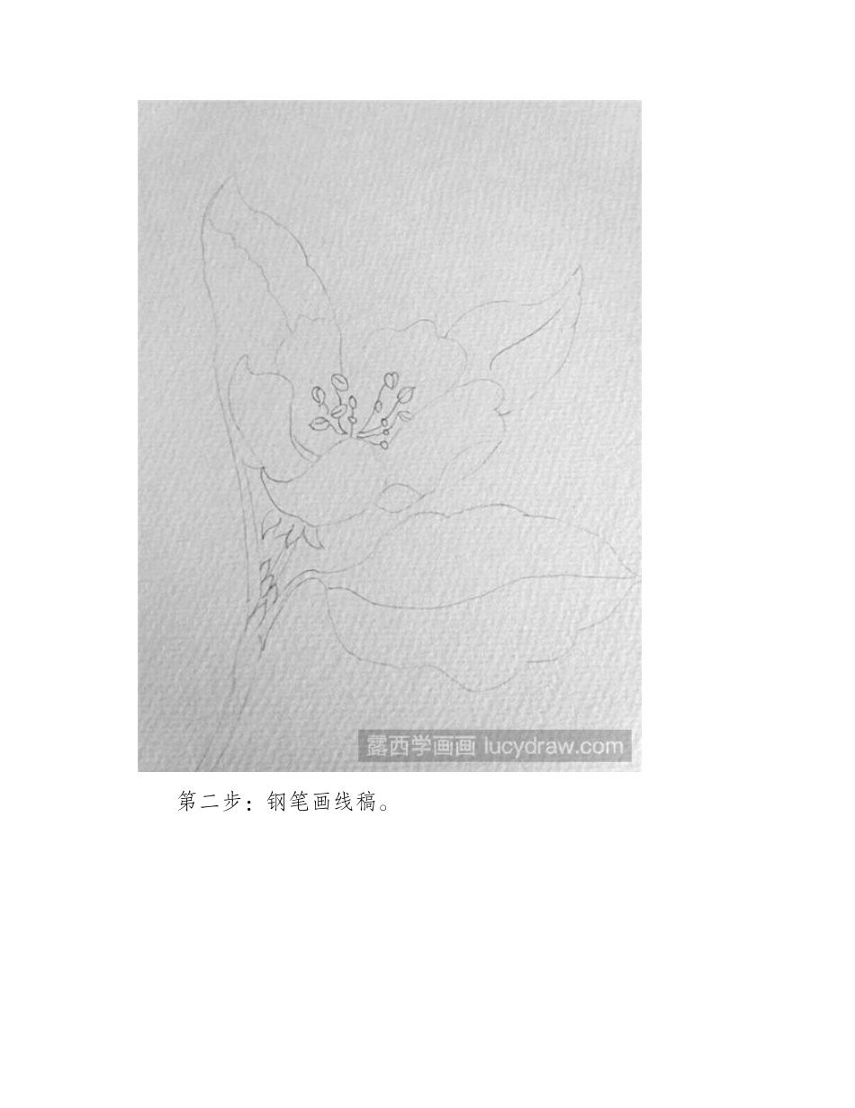 海棠花彩铅画教程彩铅画教程_第2页