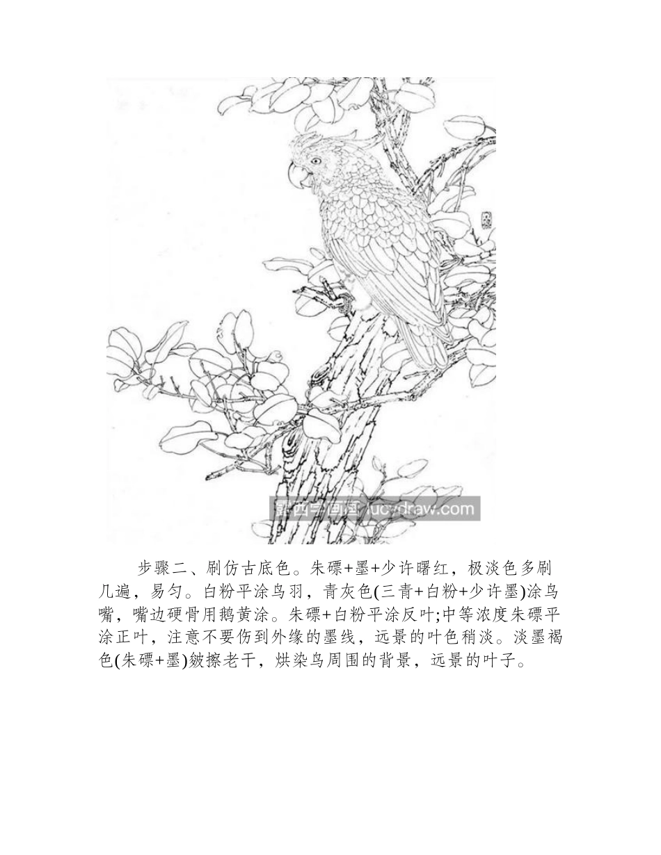 红叶鹦鹉怎么画_详细的图文步骤有哪些_工笔画教程_第2页