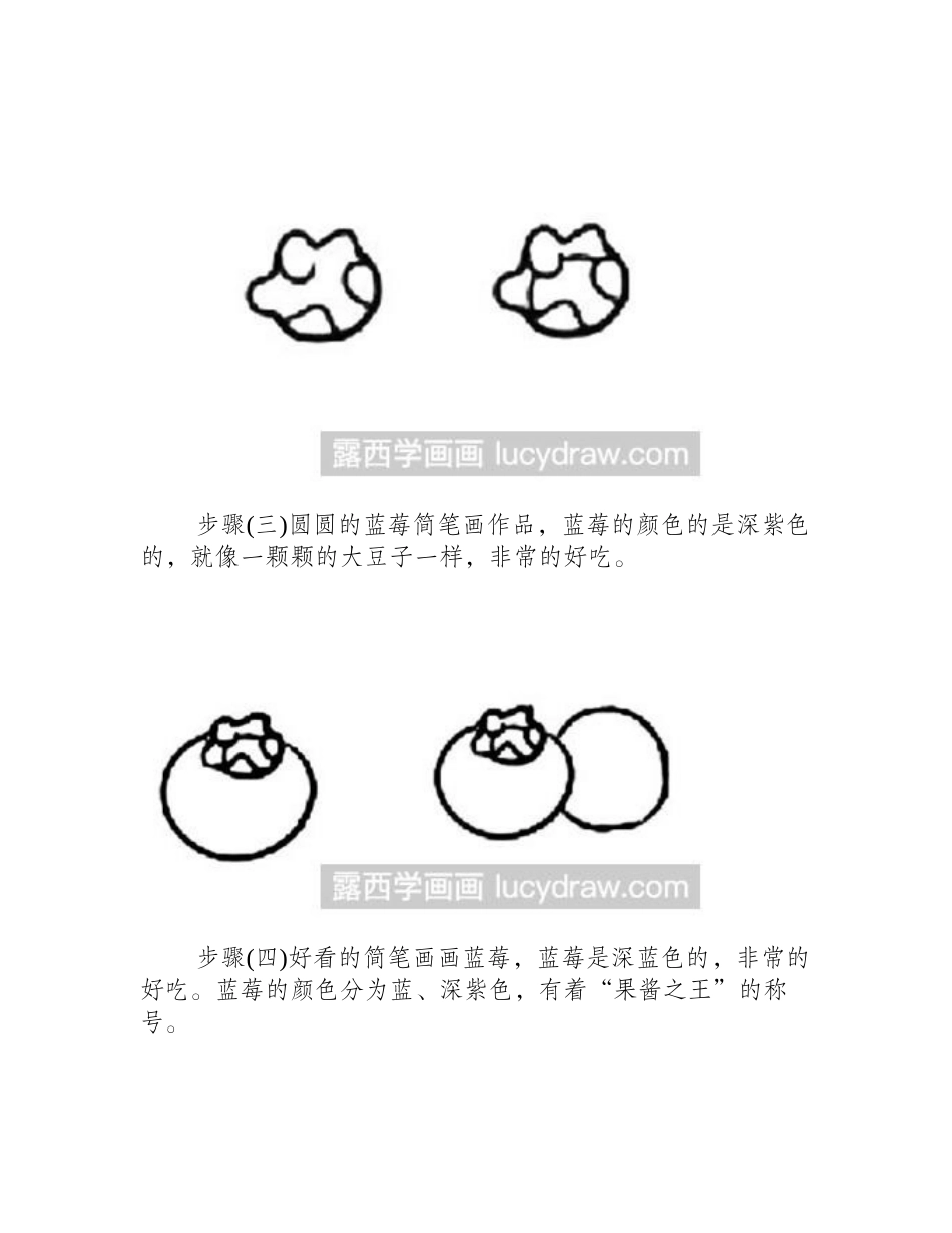 简笔画教程：蓝莓怎么画简笔画教程_第2页