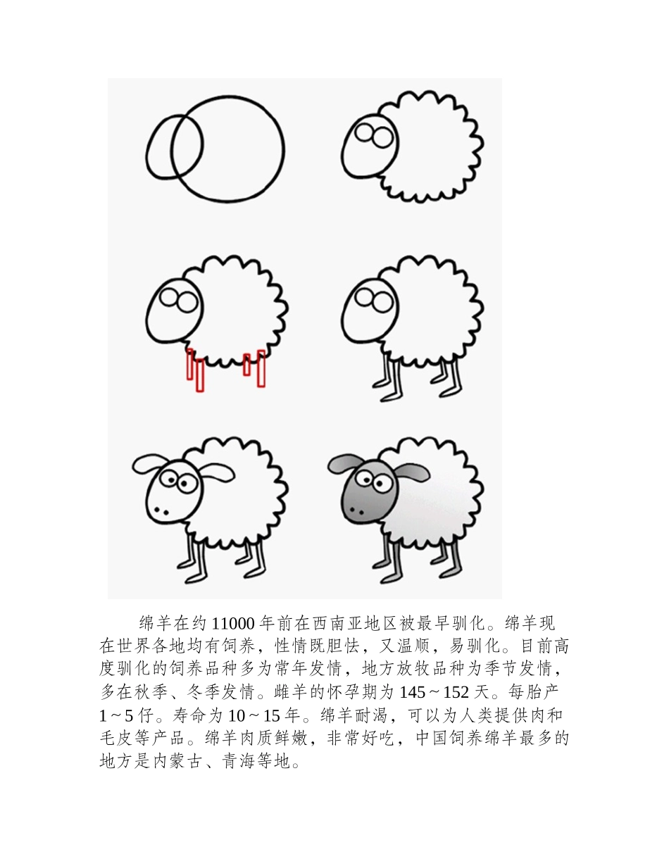 简笔画绵羊的画法简笔画教程1_第2页