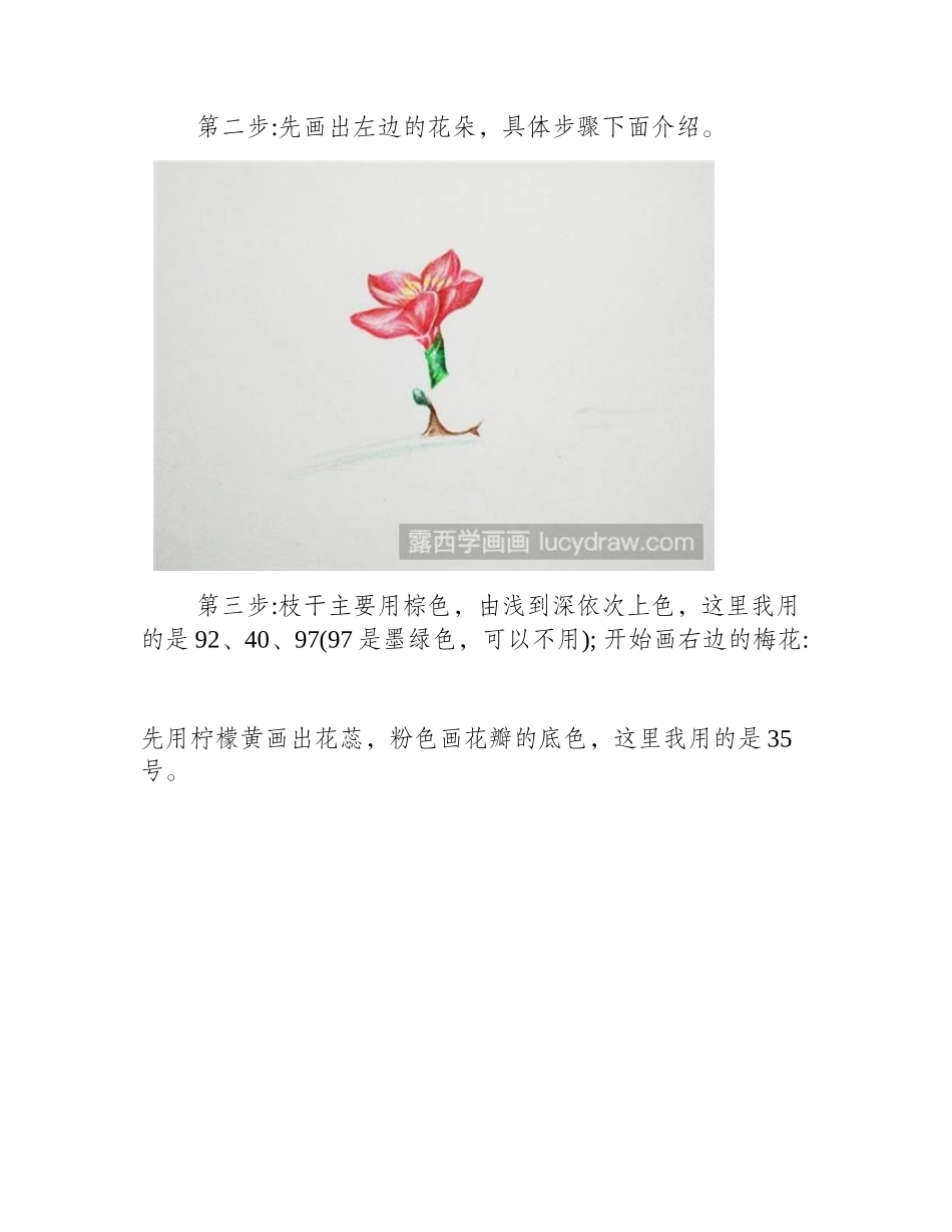 红梅彩铅画教程彩铅画教程_第2页