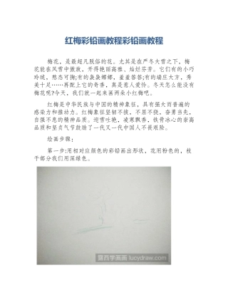 红梅彩铅画教程彩铅画教程