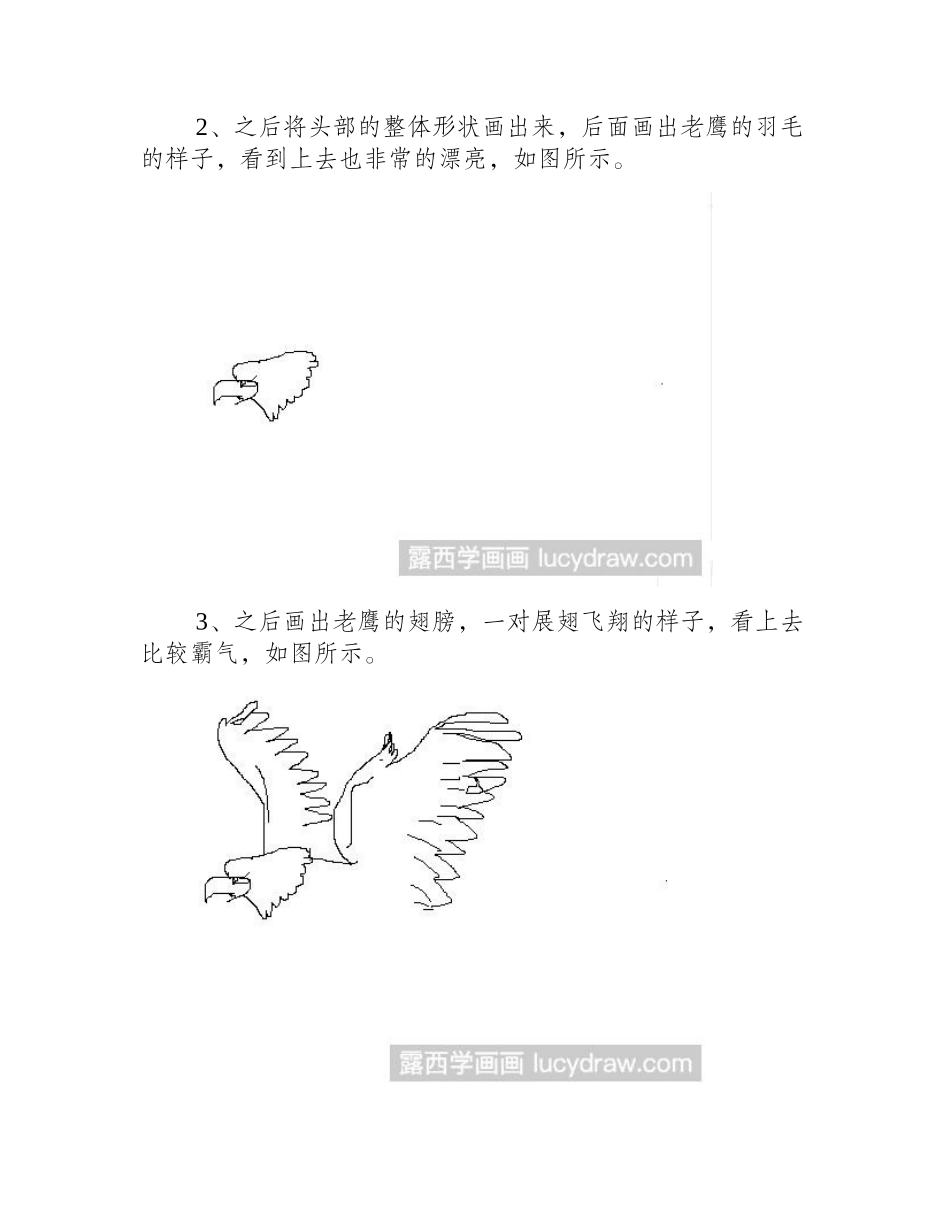 教你画雄鹰展翅简笔画教程_第2页