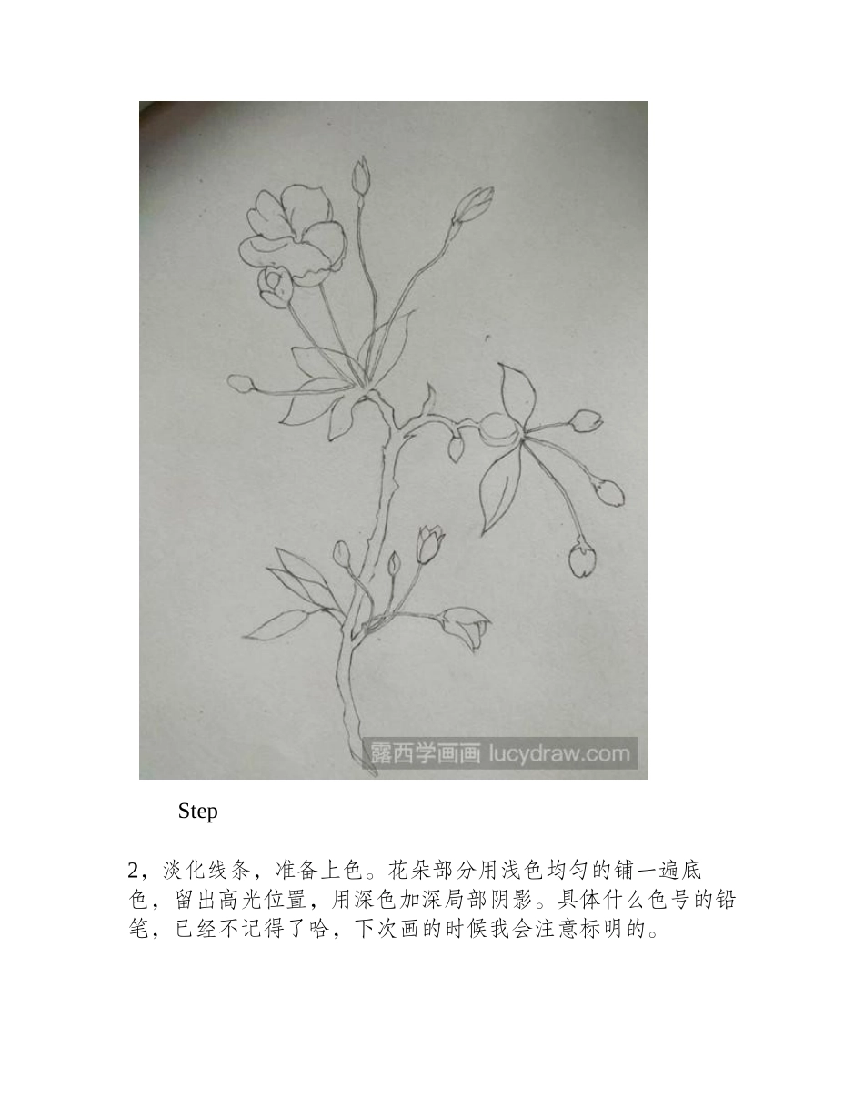 海棠花彩铅画步骤彩铅画教程1_第2页