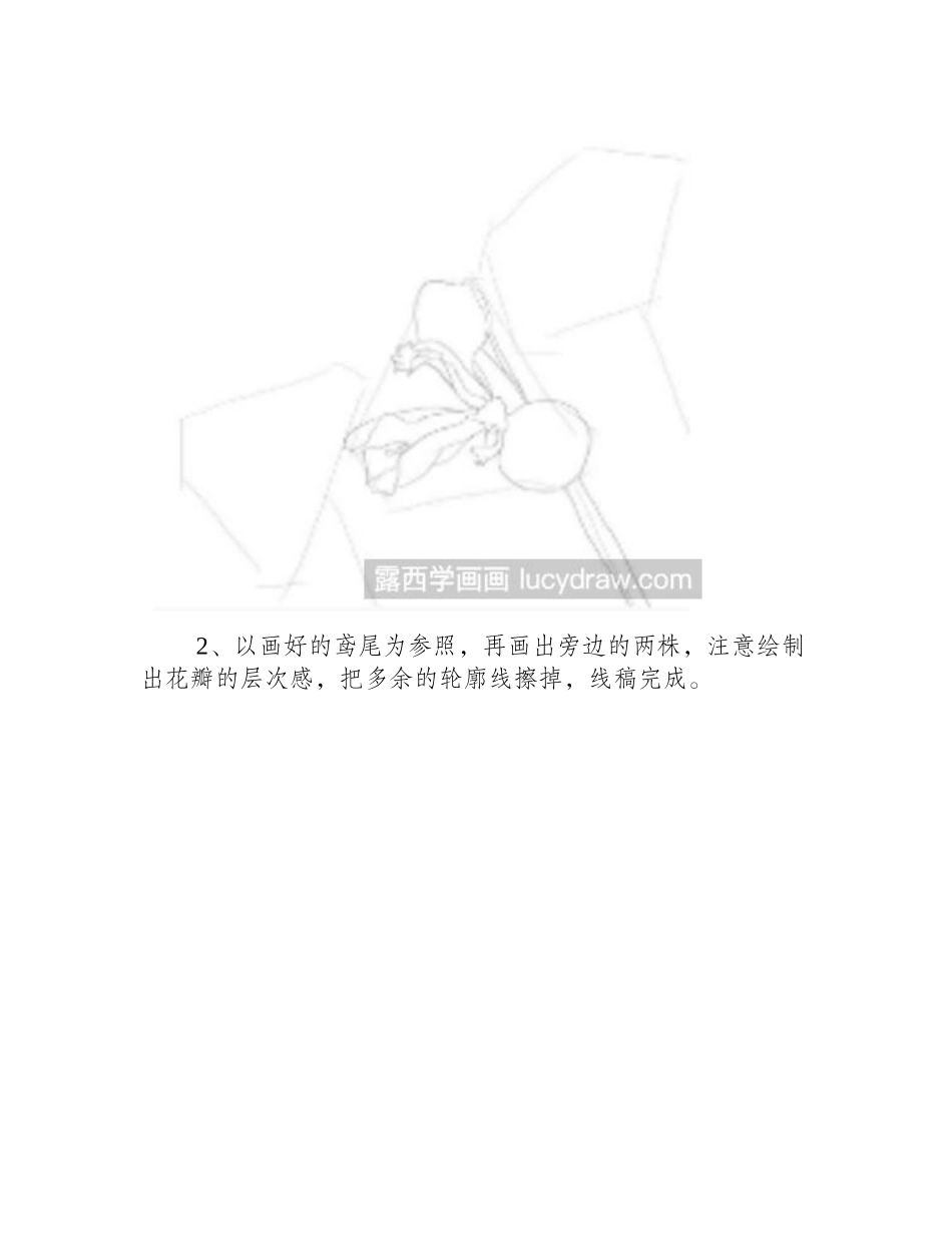 教你画三种不同角度的鸢尾花彩铅画教程_第2页