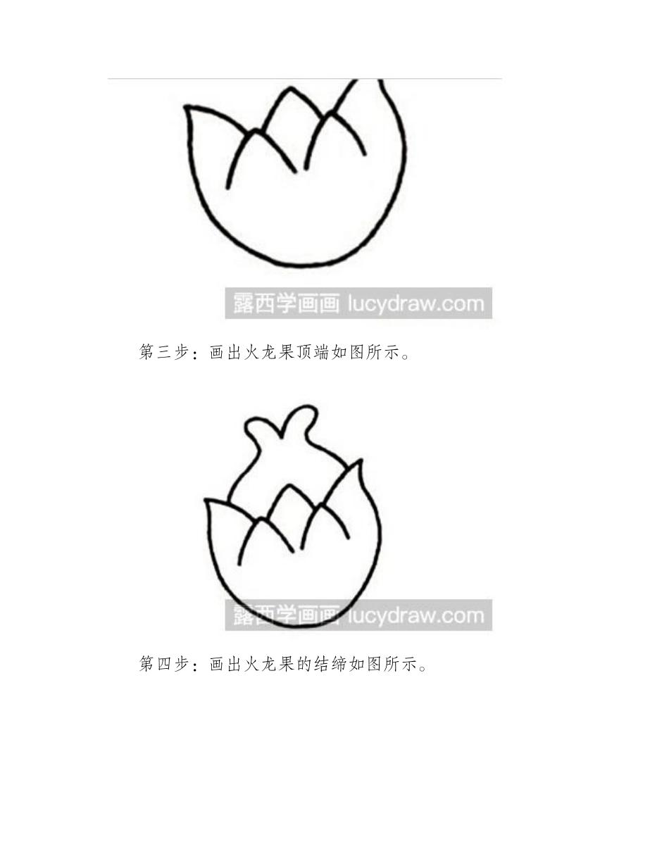 简笔画教程：火龙果的画法简笔画教程_第2页
