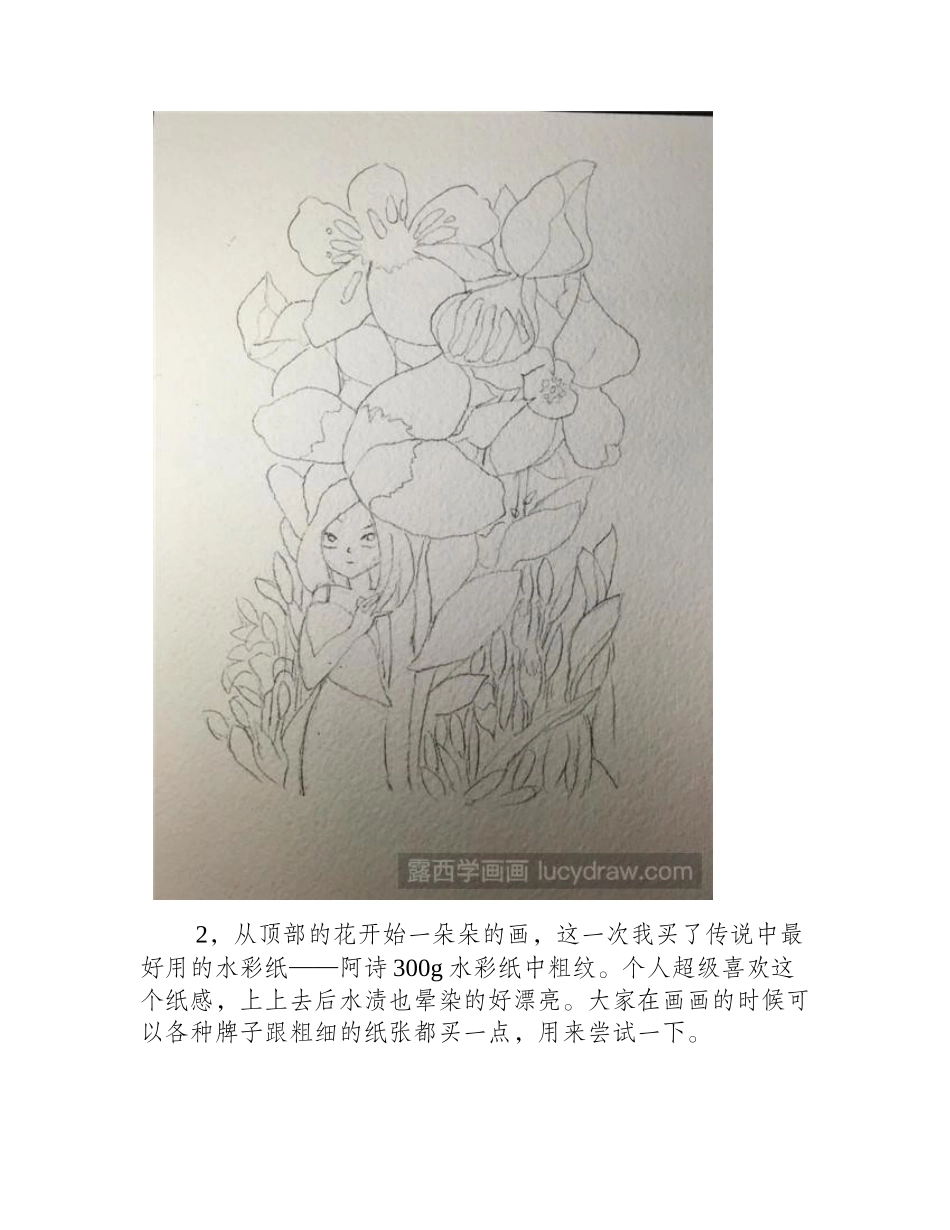 花精灵水彩画教程水彩画教程_第2页