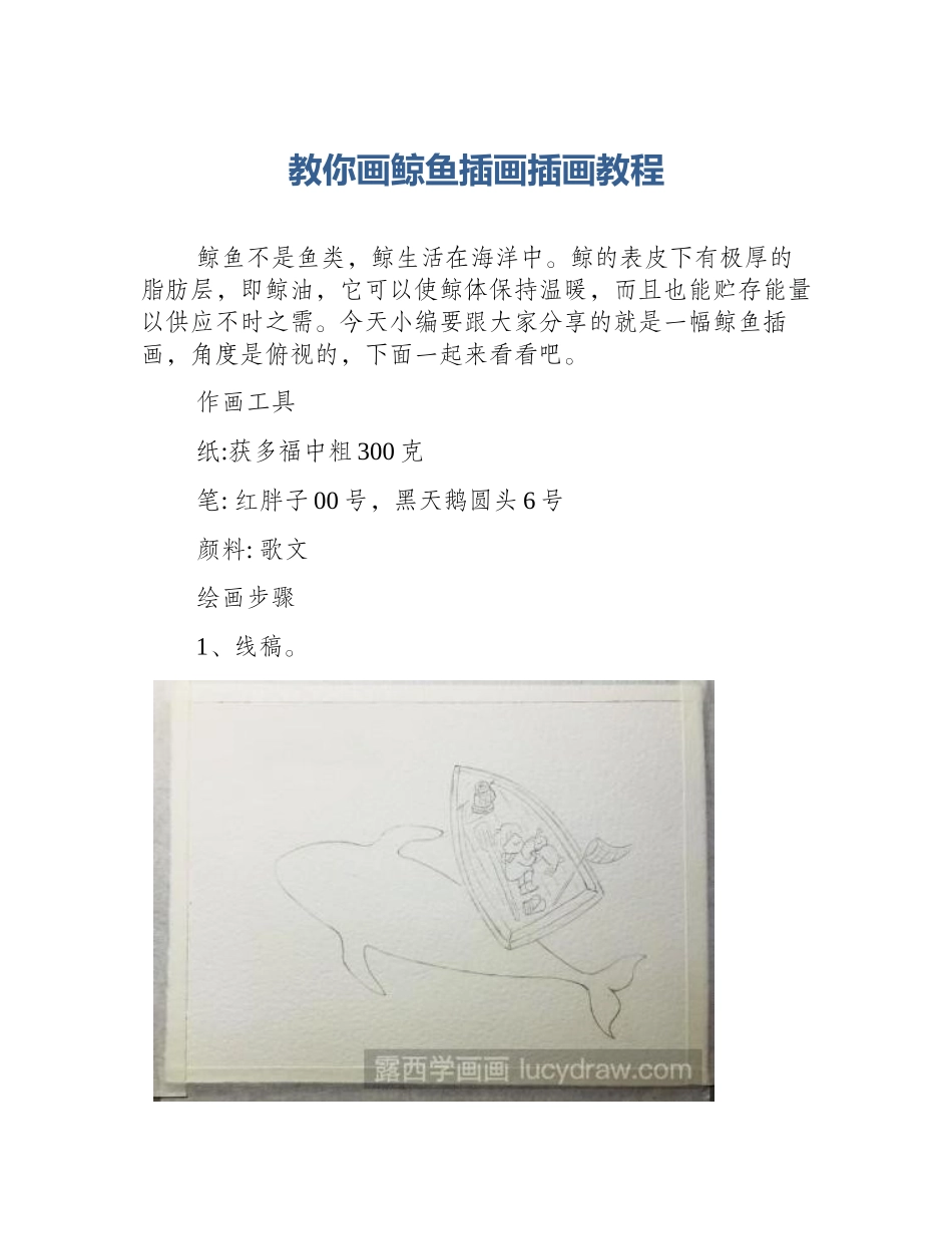 教你画鲸鱼插画插画教程_第1页