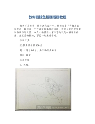 教你画鲸鱼插画插画教程