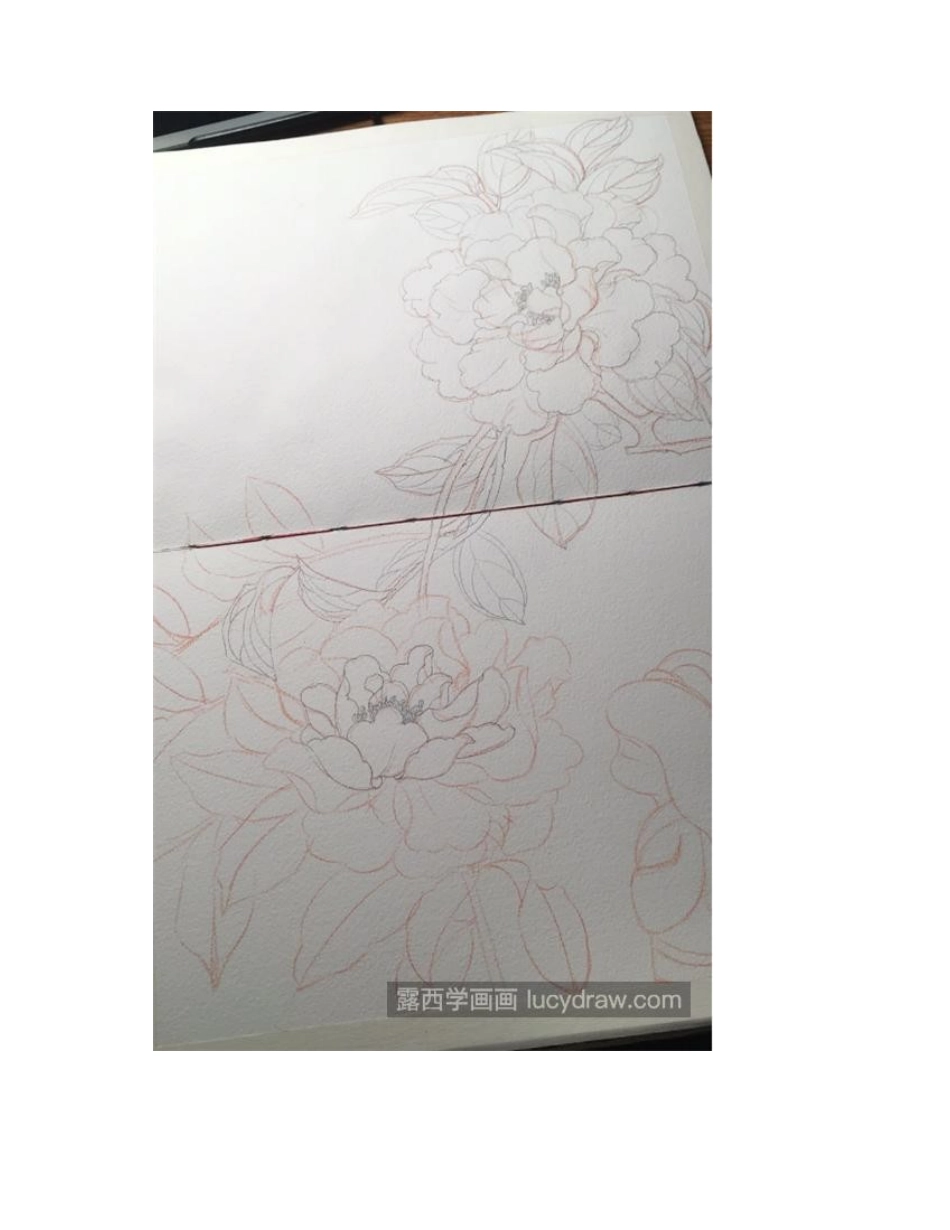 花下美女怎么画_详细的插画步骤有哪些_插画教程_第2页