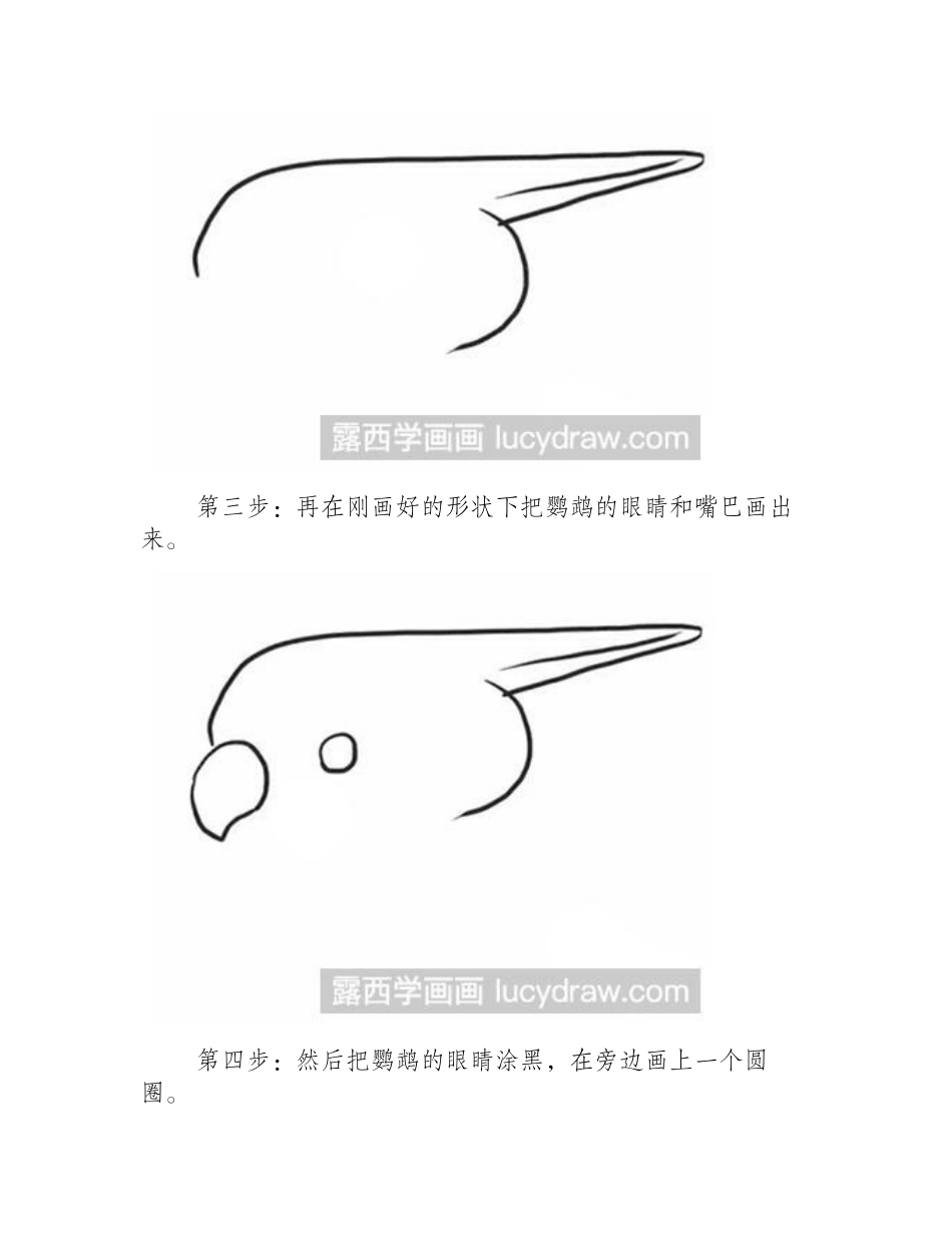 简笔画教程：怎么绘制鹦鹉简笔画教程_第2页