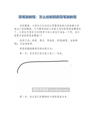 简笔画教程：怎么绘制鹦鹉简笔画教程
