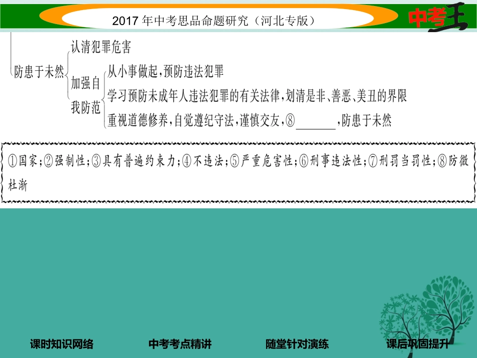（河北专版）中考政治总复习 考点梳理 第3课时 感受法律的尊严（八下 第七课）-人教版初中九年级全册政治_第3页