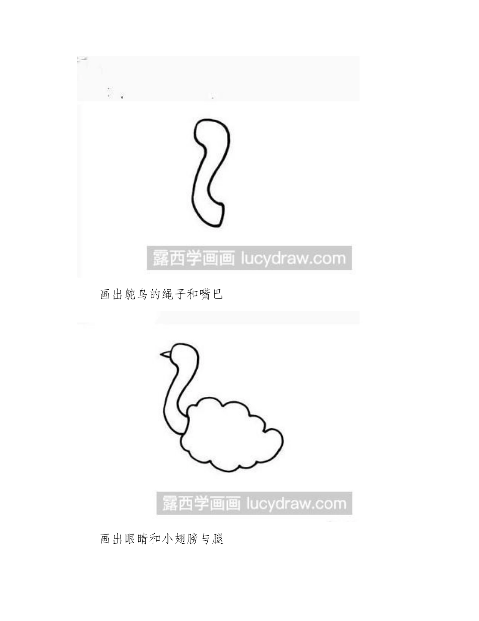简笔画教程：教你画鸵鸟简笔画教程_第2页