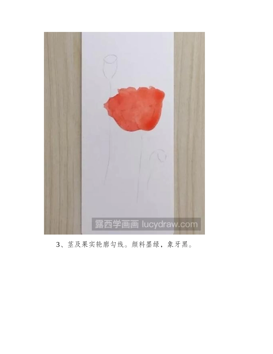 教你怎样画好一幅水彩虞美人水彩画教程_第2页