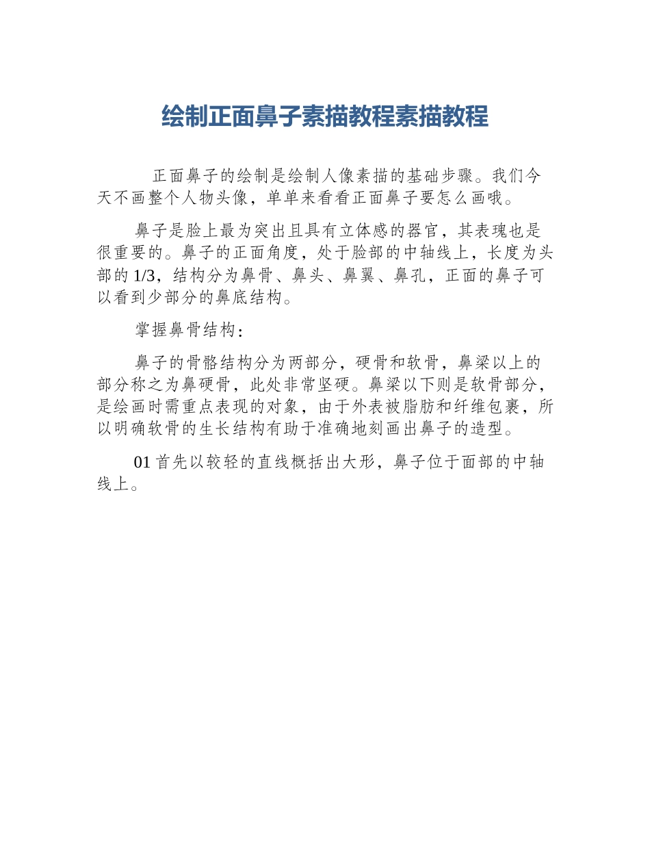 绘制正面鼻子素描教程素描教程_第1页