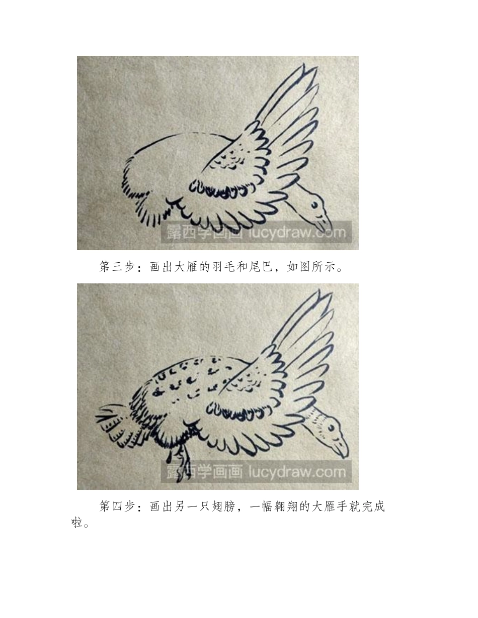 简笔画教程：教大家画大雁简笔画教程_第2页