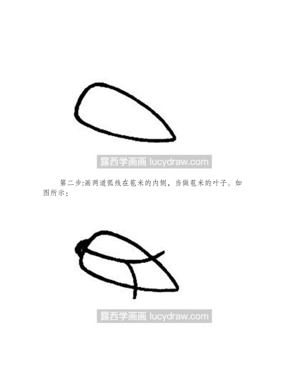 简笔画教程：苞米的画法简笔画教程_第2页