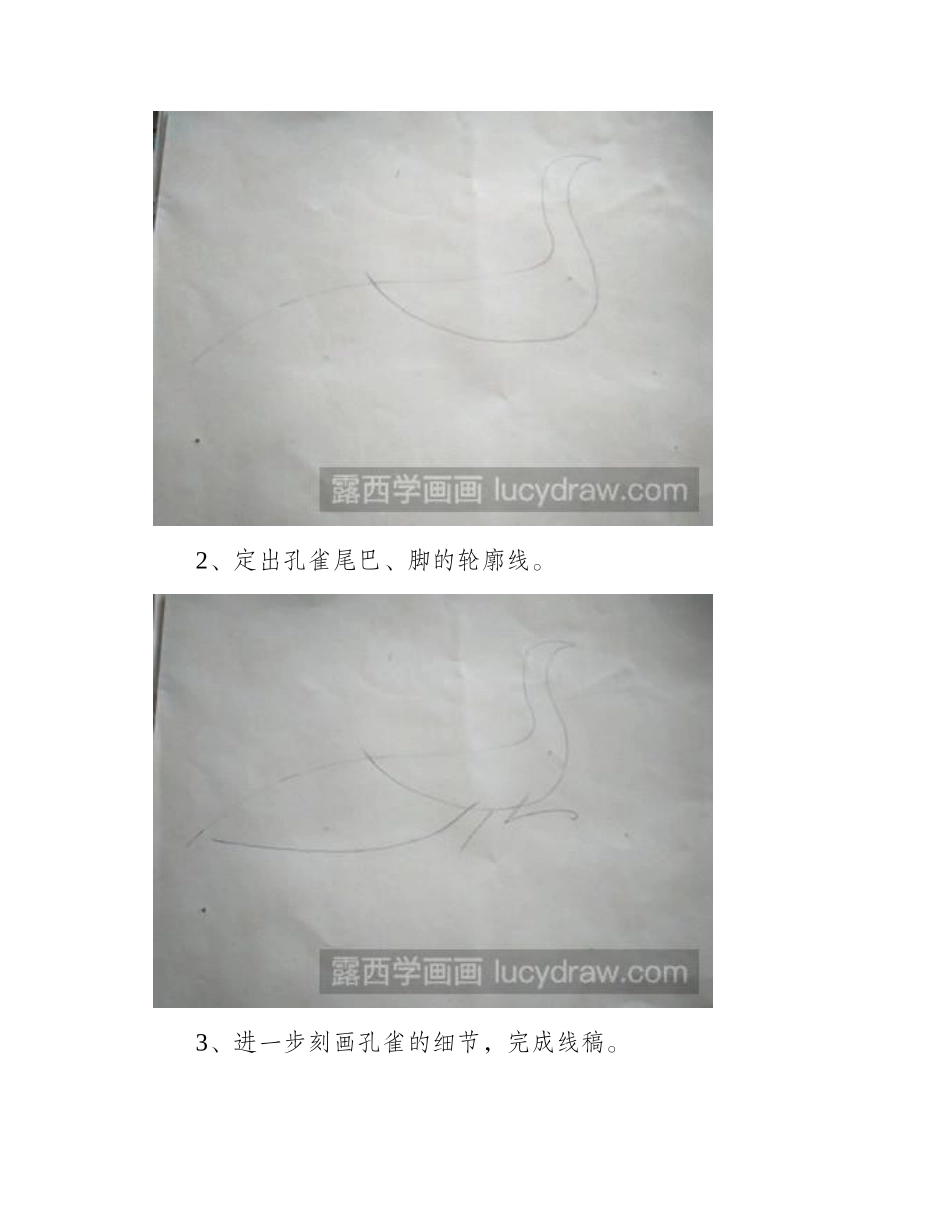 简笔画教程：教你简笔绘画绿孔雀简笔画教程_第2页