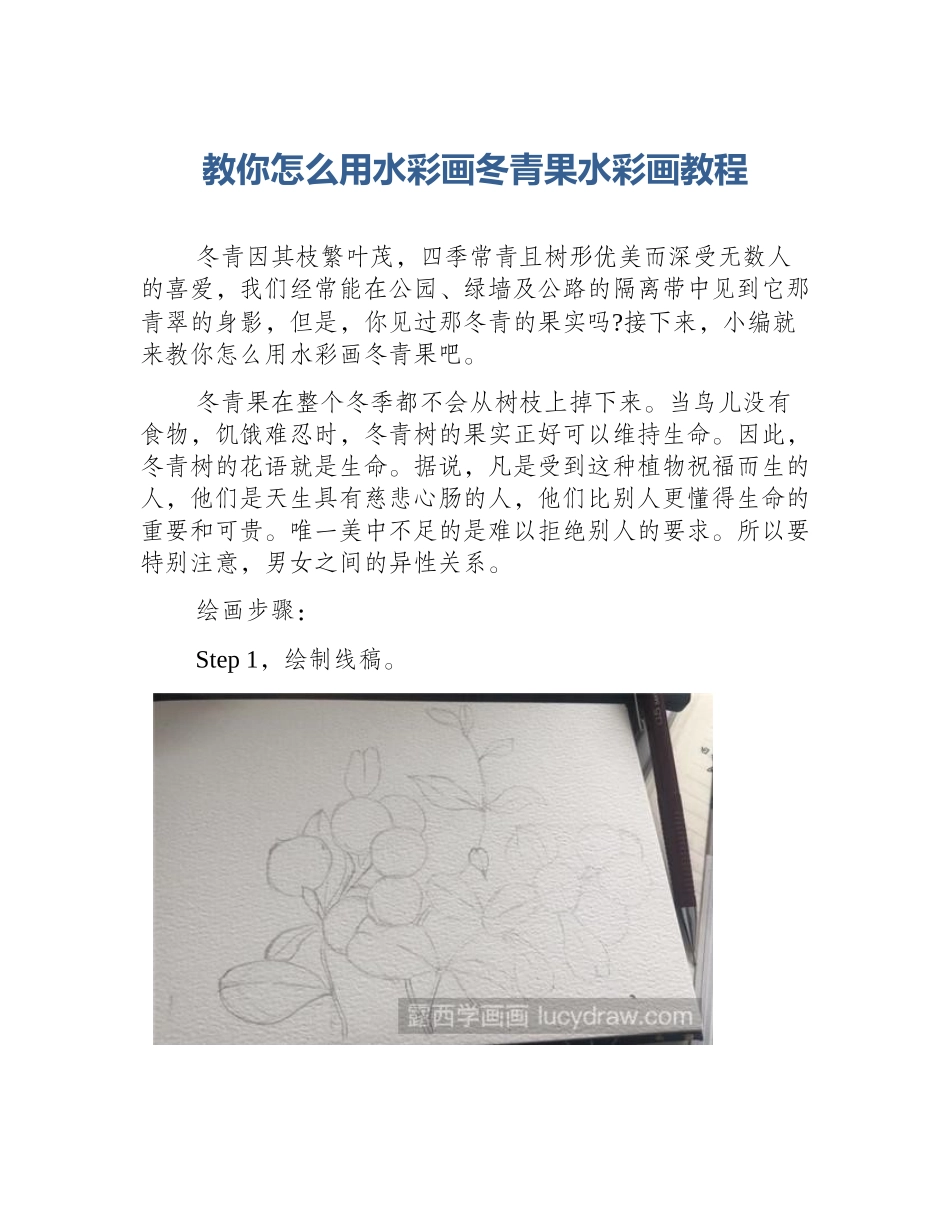 教你怎么用水彩画冬青果水彩画教程_第1页