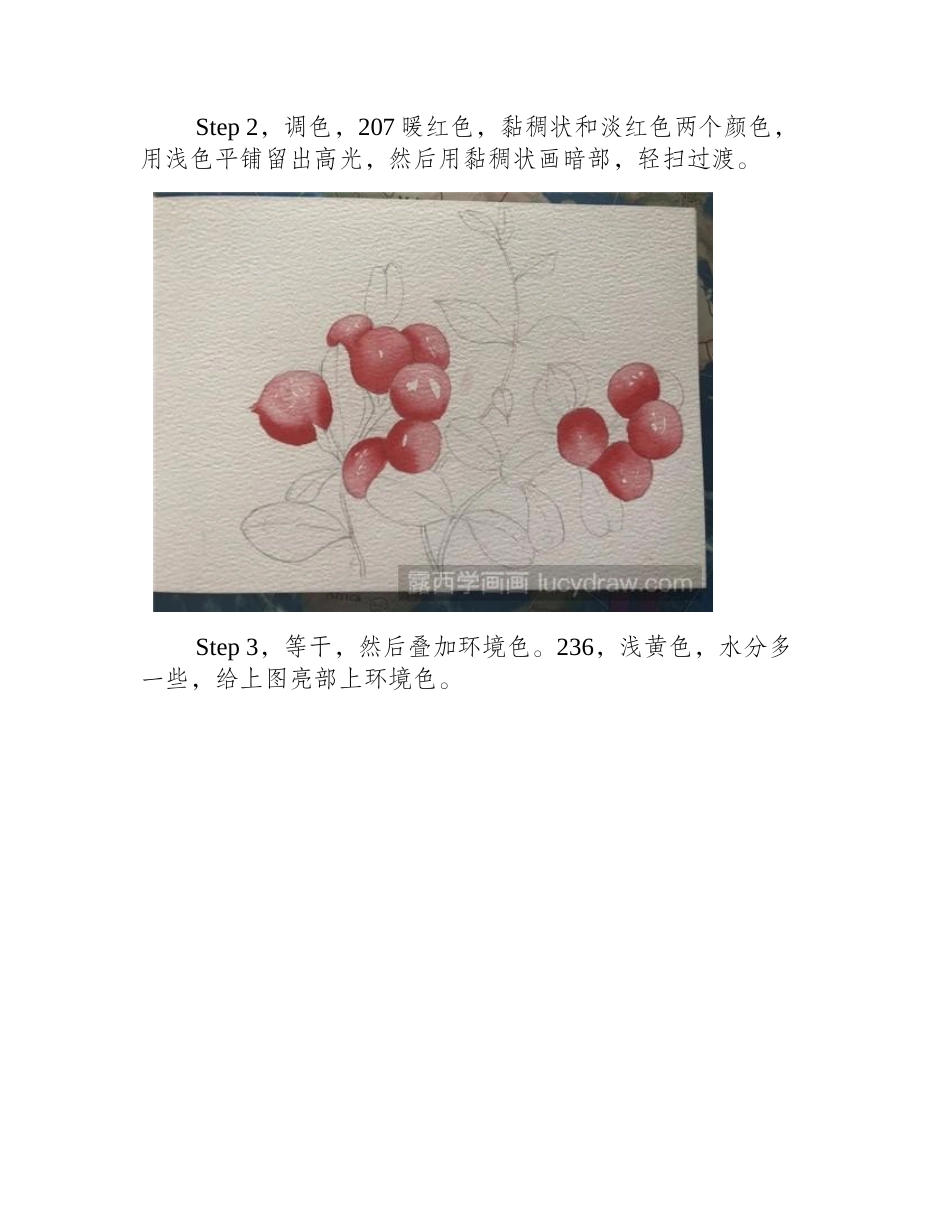 教你怎么用水彩画冬青果水彩画教程_第2页
