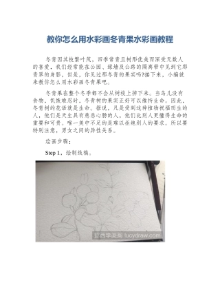 教你怎么用水彩画冬青果水彩画教程