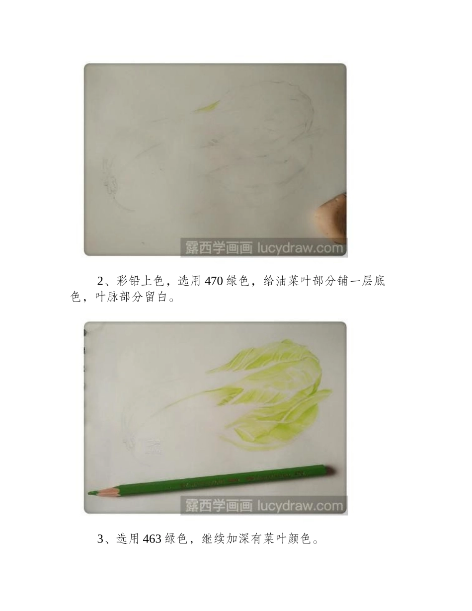教你画一颗小油菜彩铅画教程_第2页