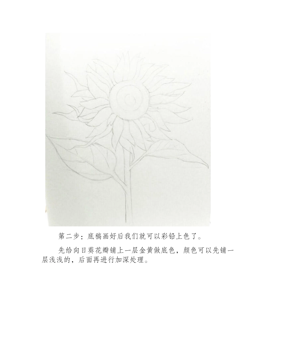 简单彩铅花朵教程：向日葵彩铅画教程彩铅画教程1_第2页