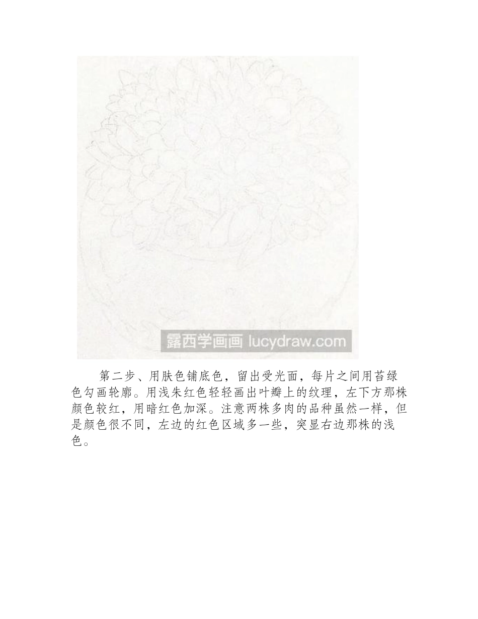 教你多肉彩铅画的技巧和方法彩铅画教程_第2页